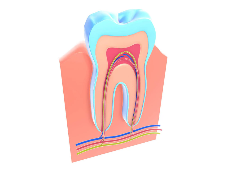 Root canal treatments available at Romeoville Smiles in Romeoville, IL